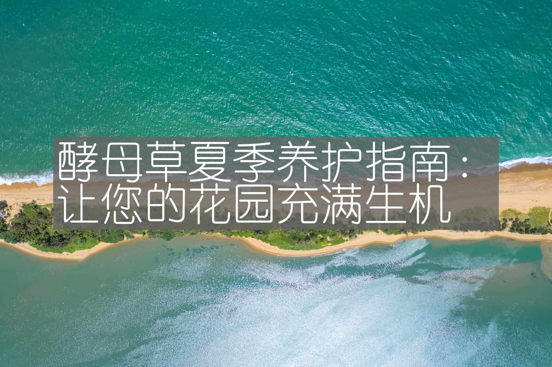 酵母草夏季养护指南：让您的花园充满生机