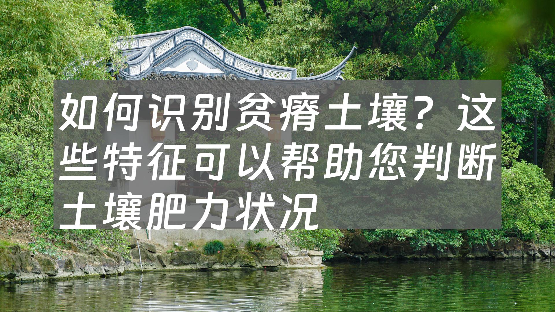 如何识别贫瘠土壤？这些特征可以帮助您判断土壤肥力状况