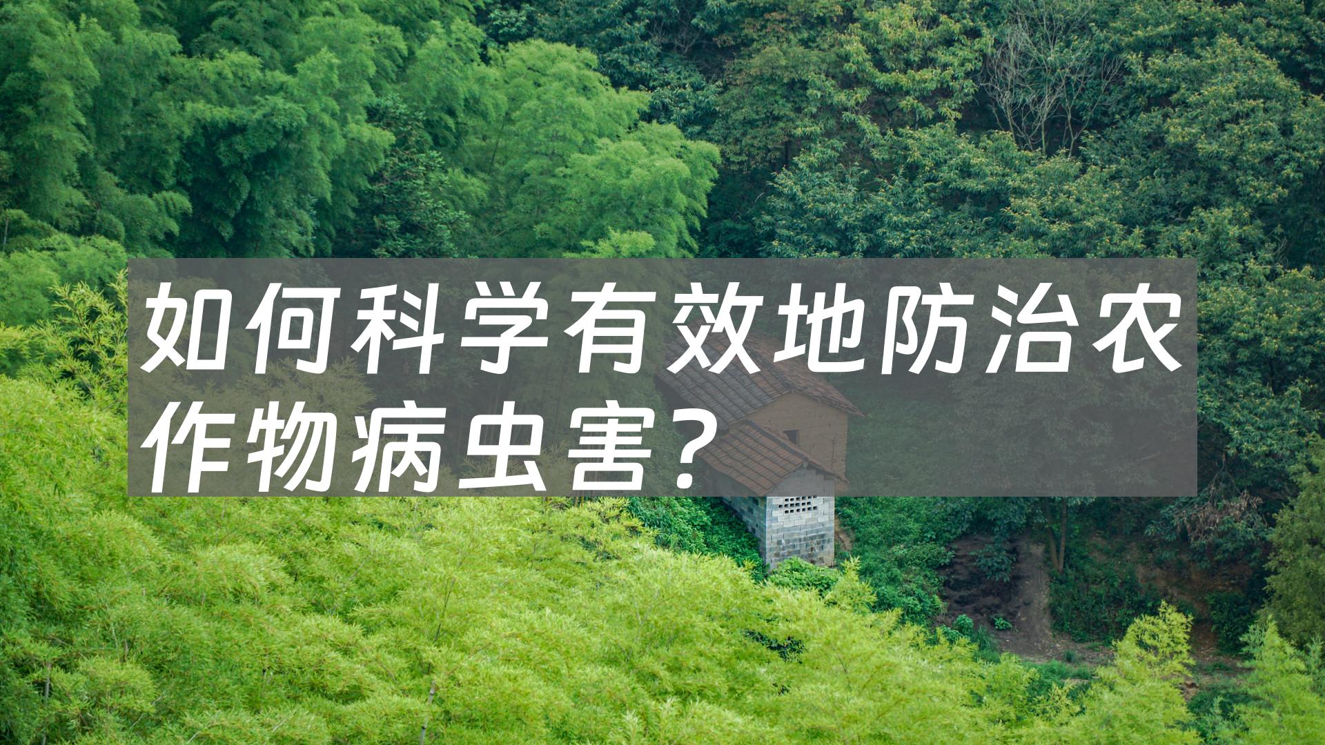 如何科学有效地防治农作物病虫害？