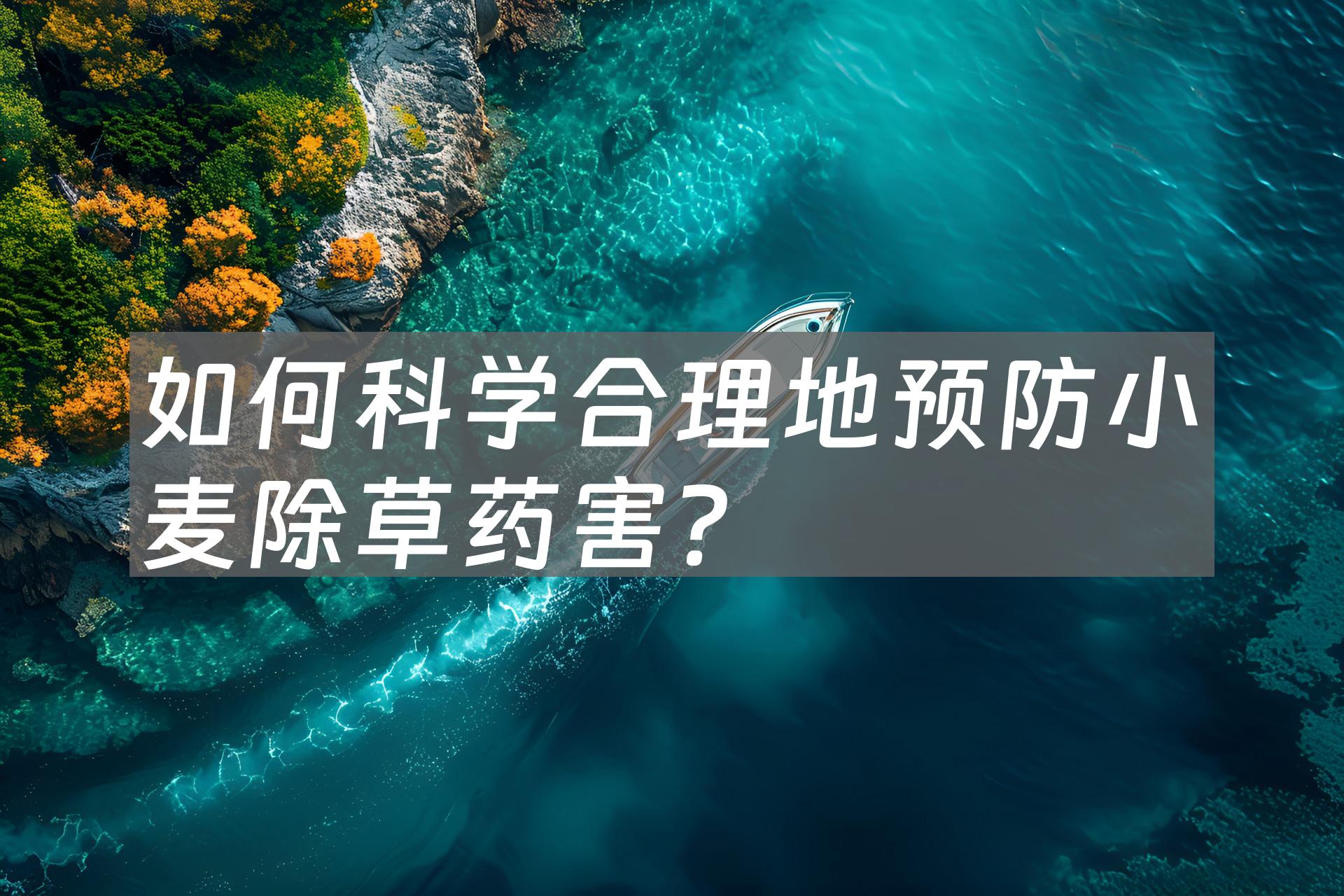 如何科学合理地预防小麦除草药害？