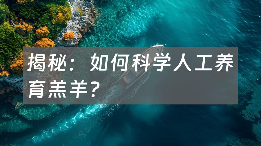 揭秘：如何科学人工养育羔羊？