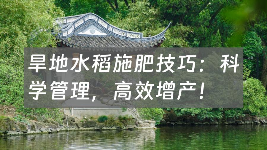 旱地水稻施肥技巧：科学管理，高效增产！