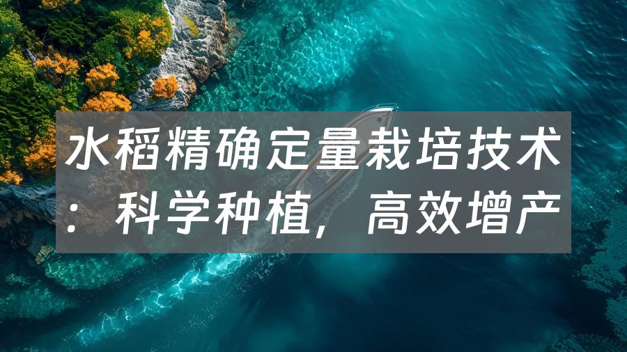 水稻精确定量栽培技术：科学种植，高效增产