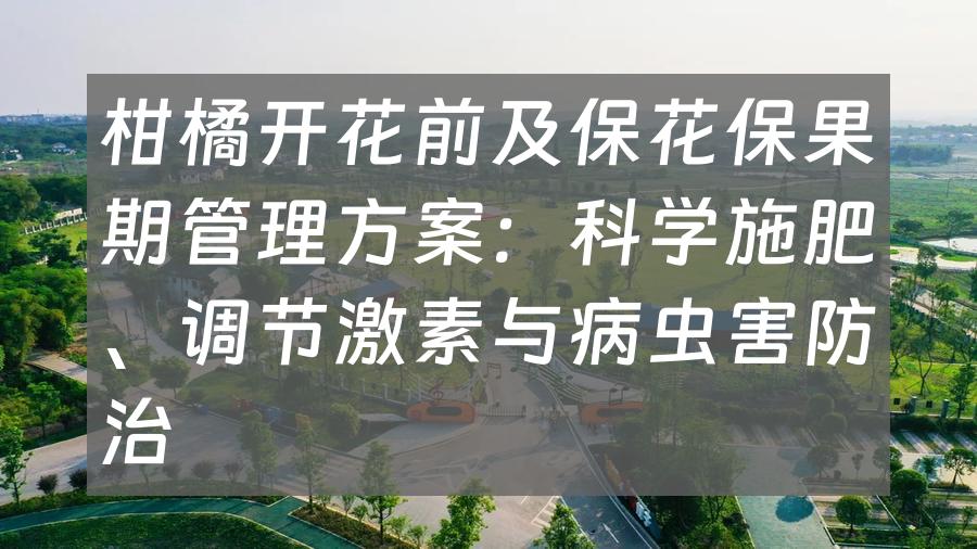 柑橘开花前及保花保果期管理方案：科学施肥、调节激素与病虫害防治