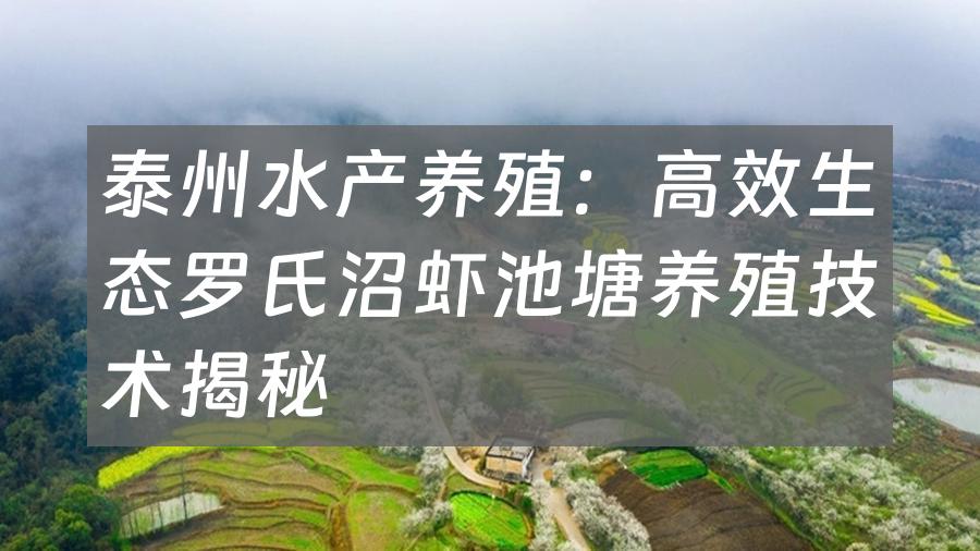 泰州水产养殖：高效生态罗氏沼虾池塘养殖技术揭秘