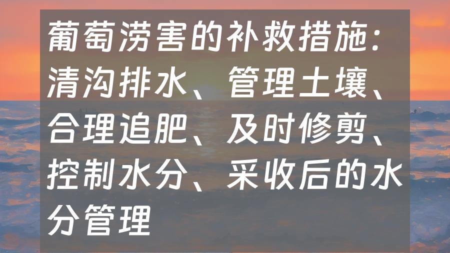 葡萄涝害的补救措施：清沟排水、管理土壤、合理追肥、及时修剪、控制水分、采收后的水分管理