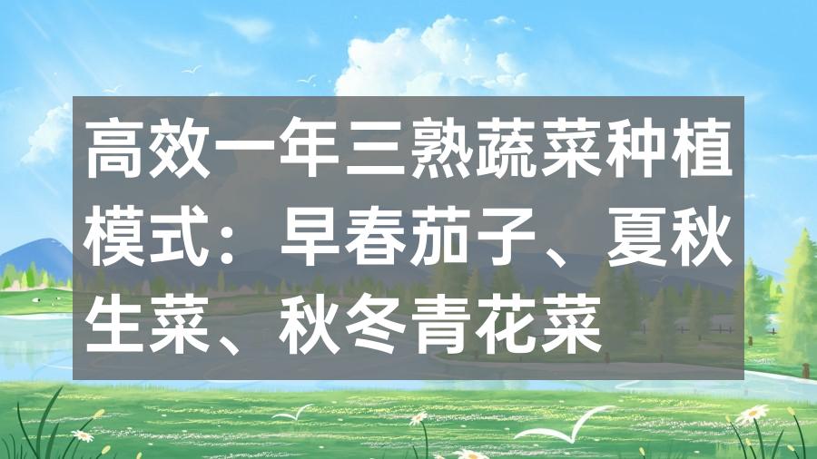 高效一年三熟蔬菜种植模式：早春茄子、夏秋生菜、秋冬青花菜