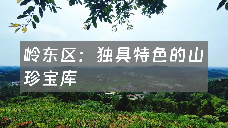 岭东区：独具特色的山珍宝库