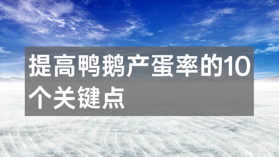 提高鸭鹅产蛋率的10个关键点