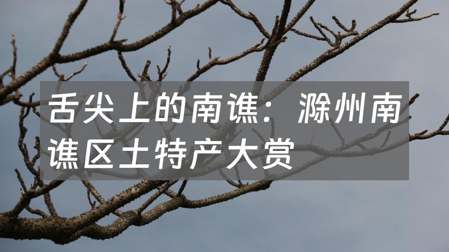 舌尖上的南谯：滁州南谯区土特产大赏