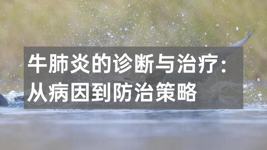 牛肺炎的诊断与治疗：从病因到防治策略