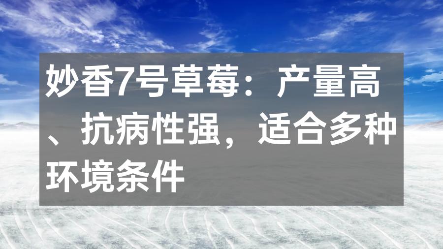 妙香7号草莓：产量高、抗病性强，适合多种环境条件