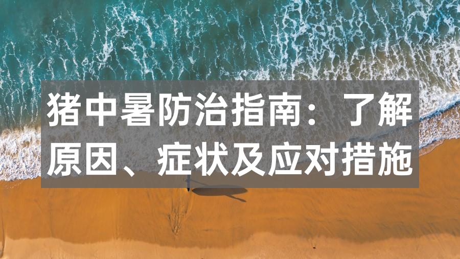 猪中暑防治指南：了解原因、症状及应对措施