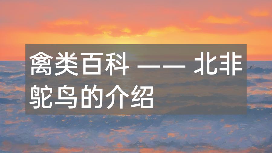 禽类百科 —— 北非鸵鸟的介绍