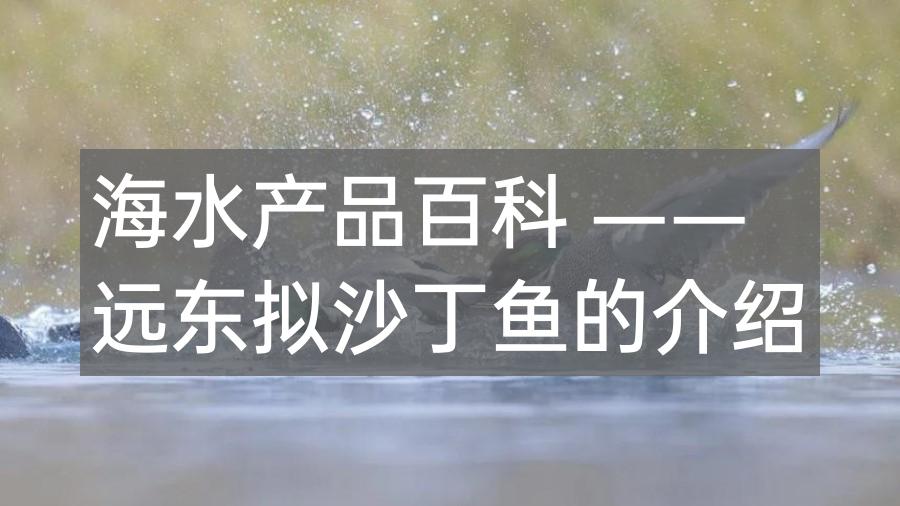 海水产品百科 —— 远东拟沙丁鱼的介绍