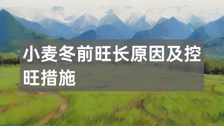 小麦冬前旺长原因及控旺措施